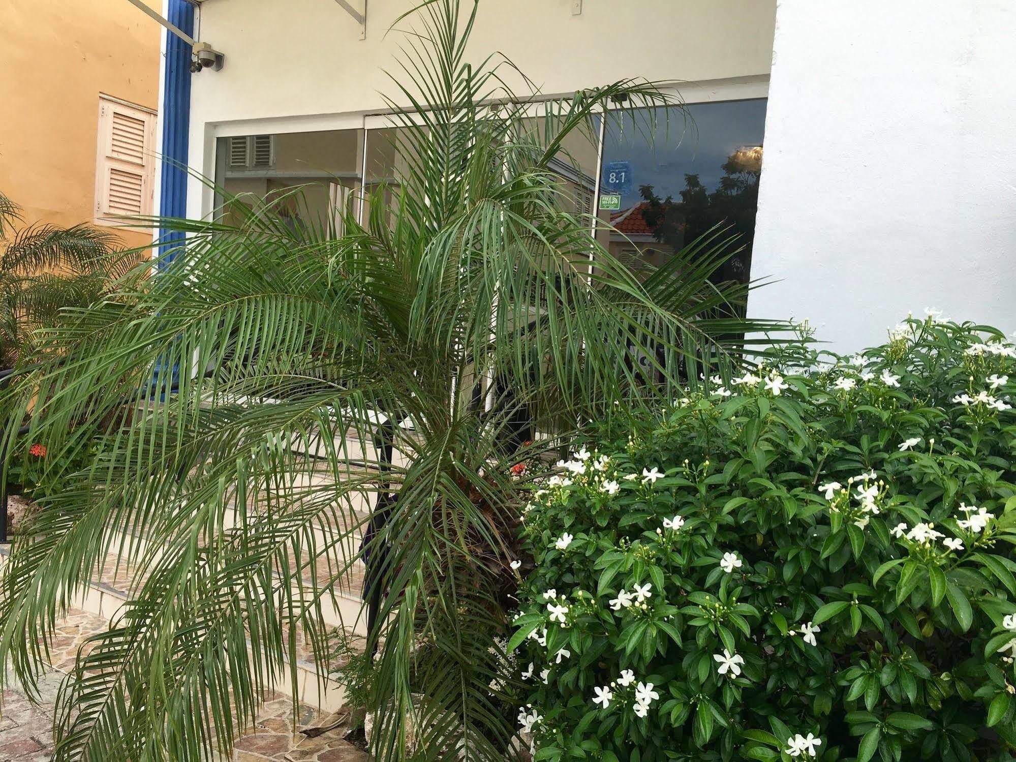 Curacao Suites Hotel Βίλλεμσταντ Εξωτερικό φωτογραφία